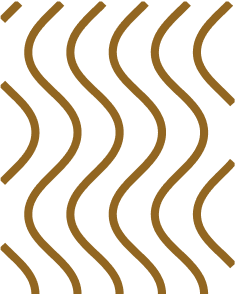 Clip path group