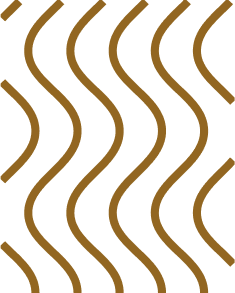 Clip path group